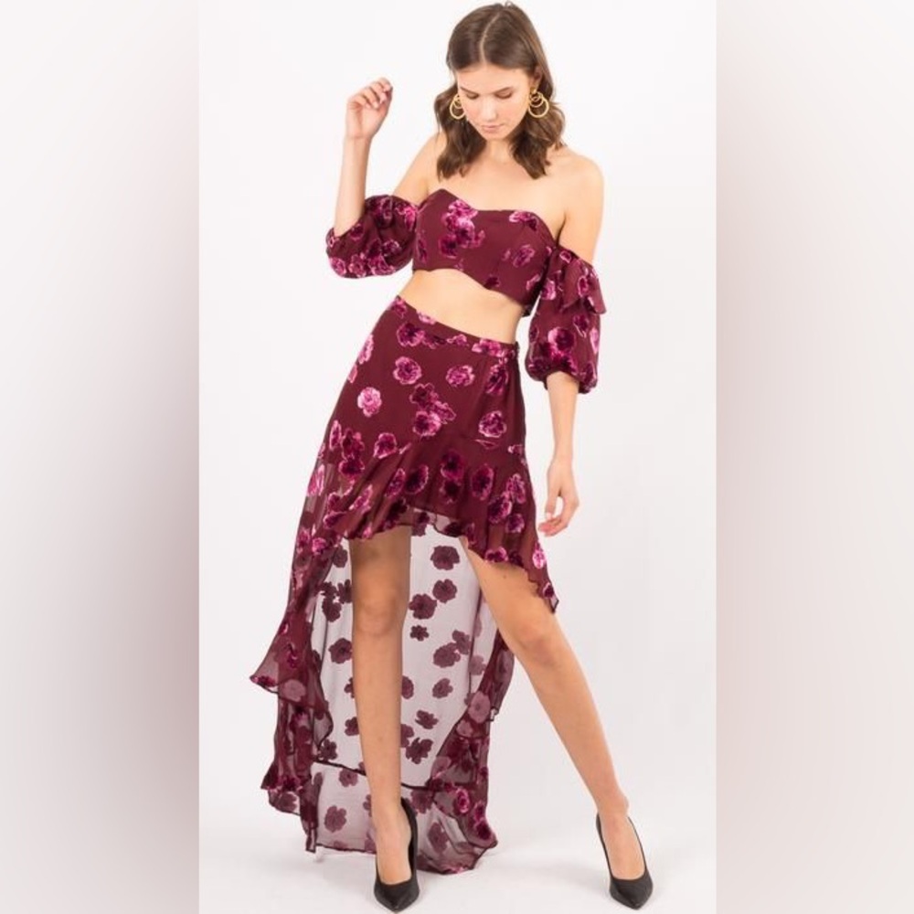 NWT For Love & Lemons Velvet Floral Skirt Fairy